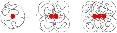 Sticker-and-spacer model for amyloid beta condensation and fibrillation